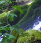 Vertiente de agua con cascada.