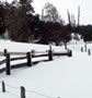 Vista invernal del terreno.