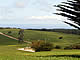 Campo dentro de la propiedad.